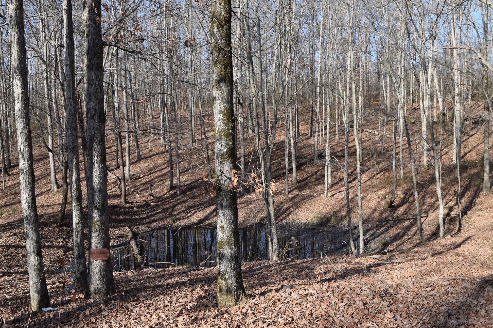 1050 Half Pone Road Erin, TN 37061 - Photo 6 of 13 Gallery Image 6