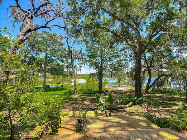 a view of yard with tree