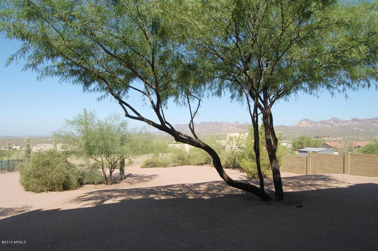 3636 North La Barge Road Apache Junction, AZ 85119 - Photo 9 of 14 Backyard