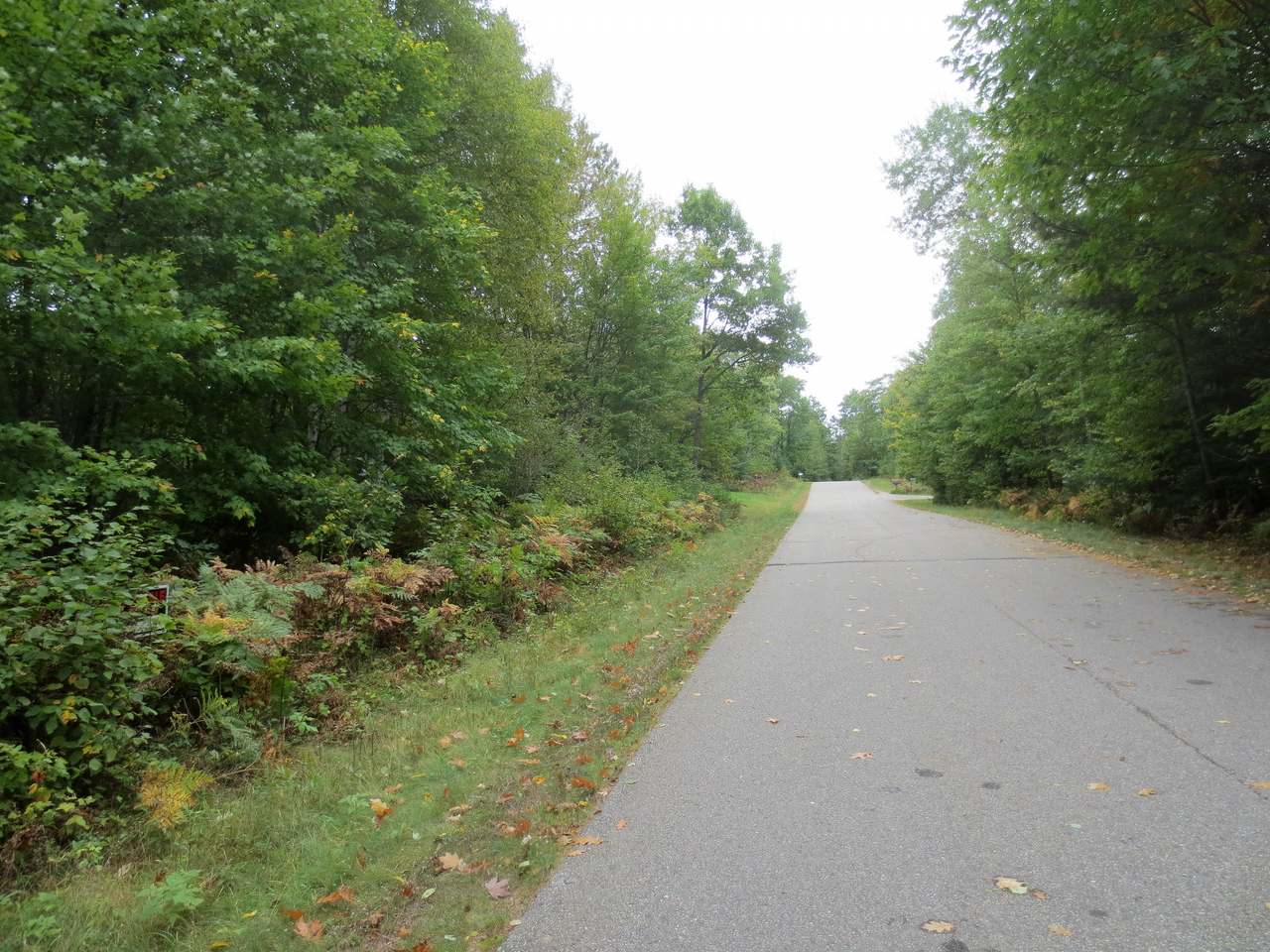 Lot 11 Breezy Pine Road Rhinelander, WI 54501 - Photo 4 of 5 Gallery Image 4