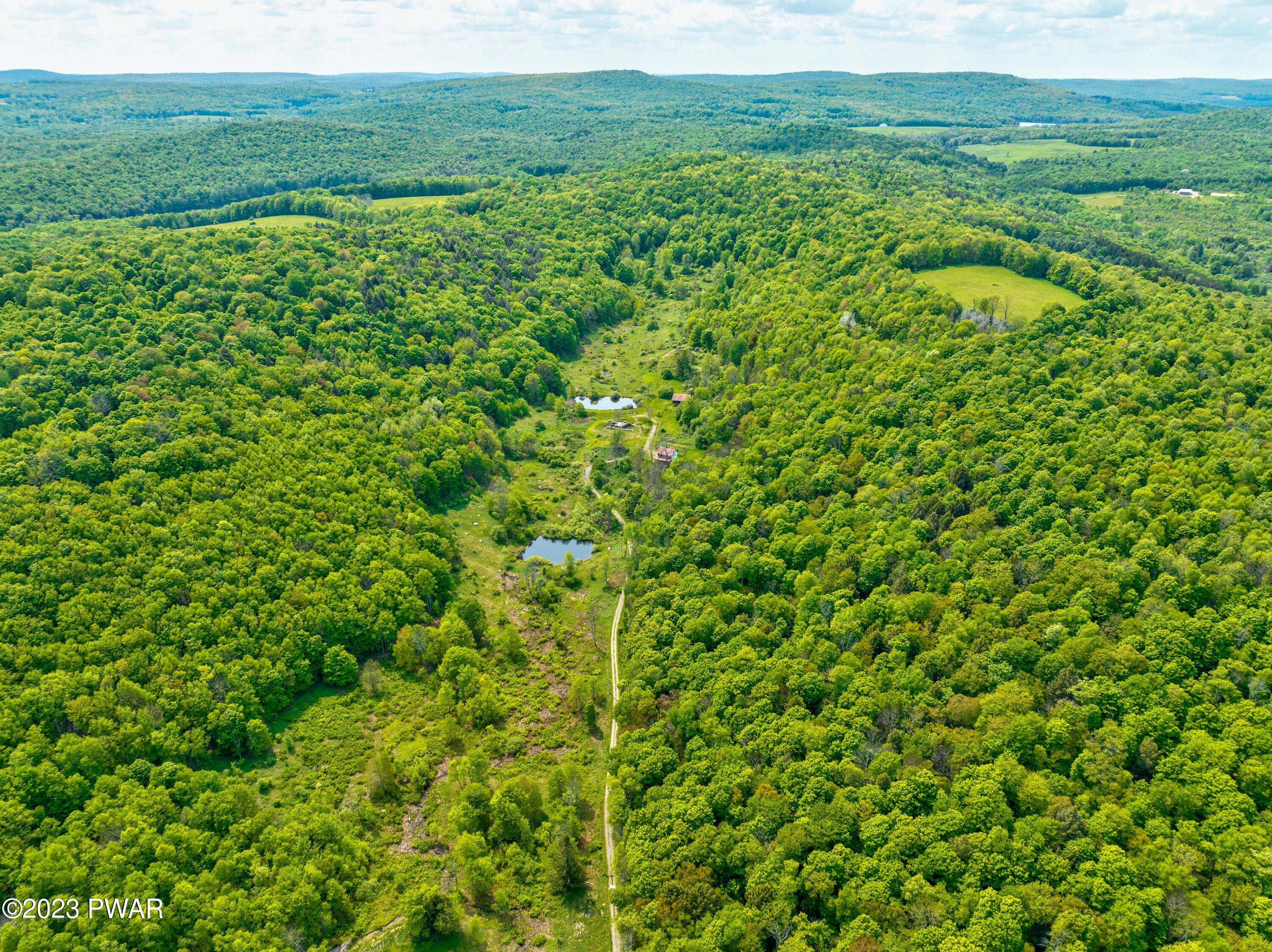 181 A Starlight Lake Road Starlight, PA 18461 - Photo 53 of 66