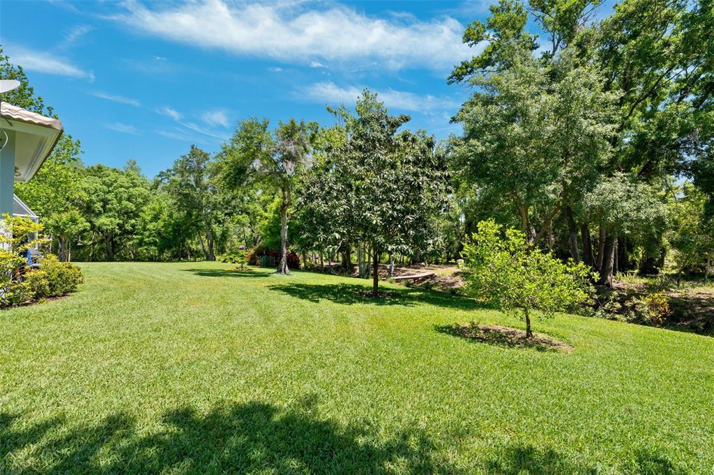 6901 Arabian Road Odessa, FL 33556 - Photo 52 of 70 Gallery Image 52