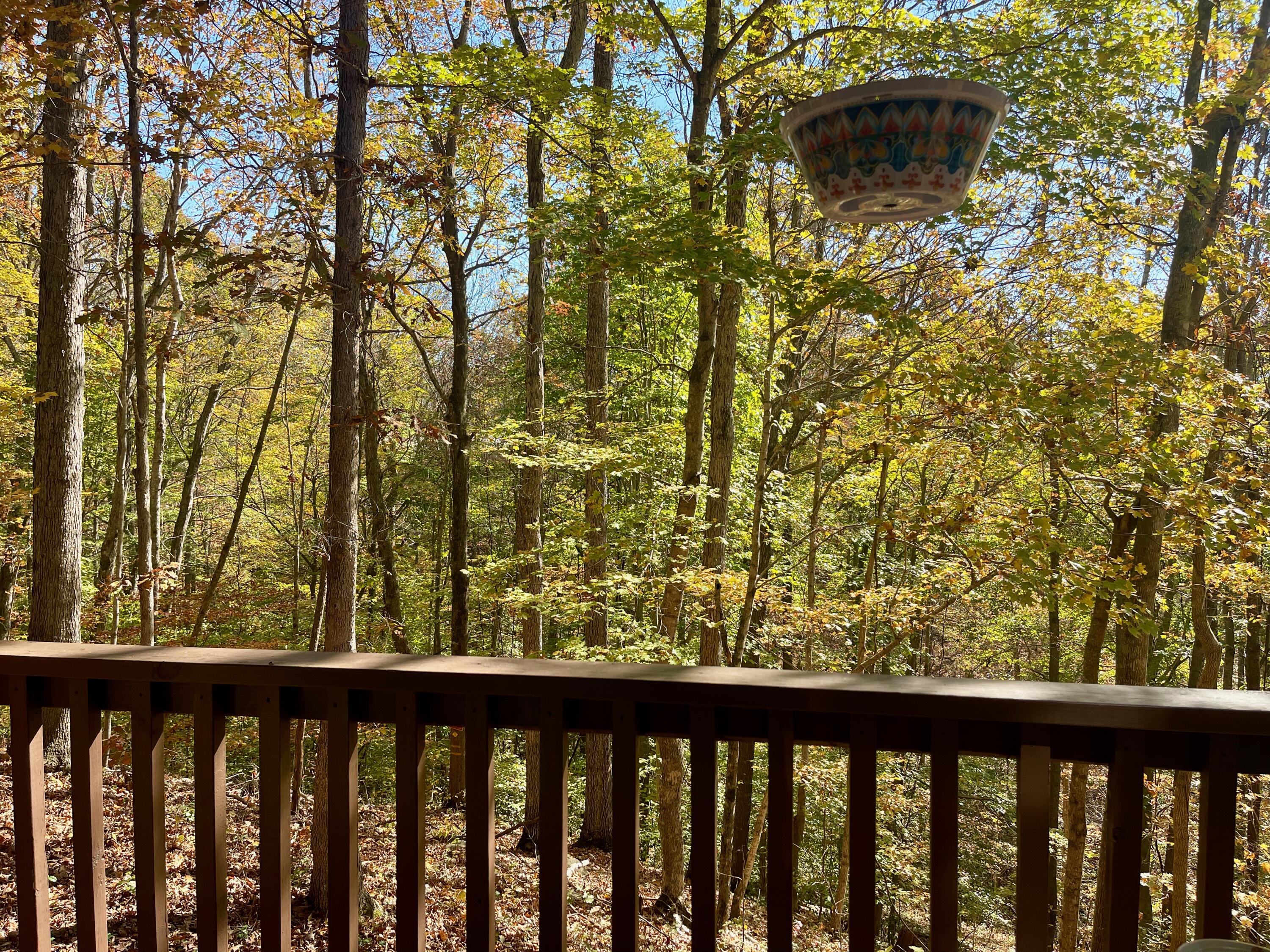 145 State Park Road, Unit G4 Jamestown, KY 42629 - Photo 17 of 34 View Deck First Floor