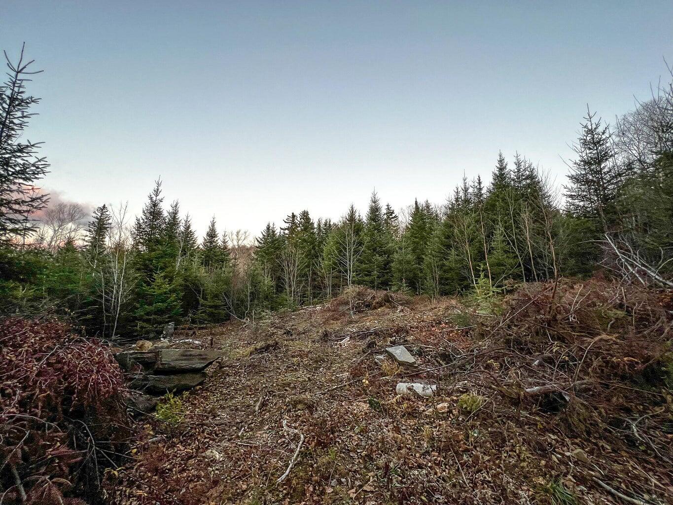 Lot 16 Mill Brook Road Sandy River Plt, ME 04970 - Photo 3 of 44