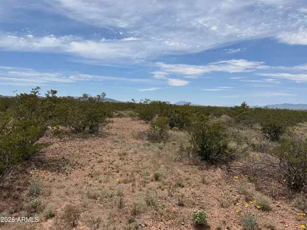 $3,500 | Lot 3940 North Valladolid Drive, Unit 3940, Douglas, AZ 85607