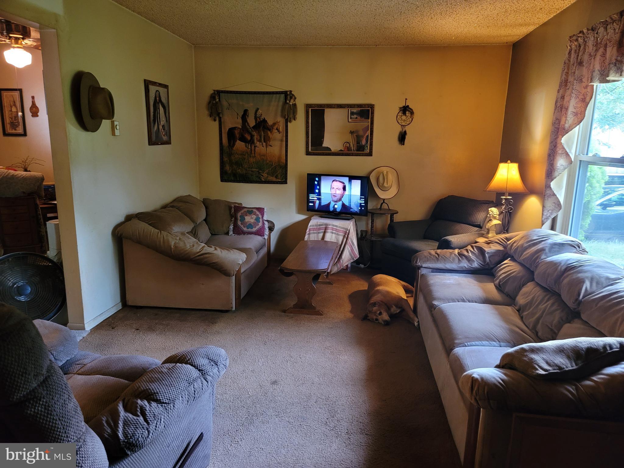 76 Watsons Mill Road Elmer, NJ 08318 - Photo 5 of 6 Gallery Image 5