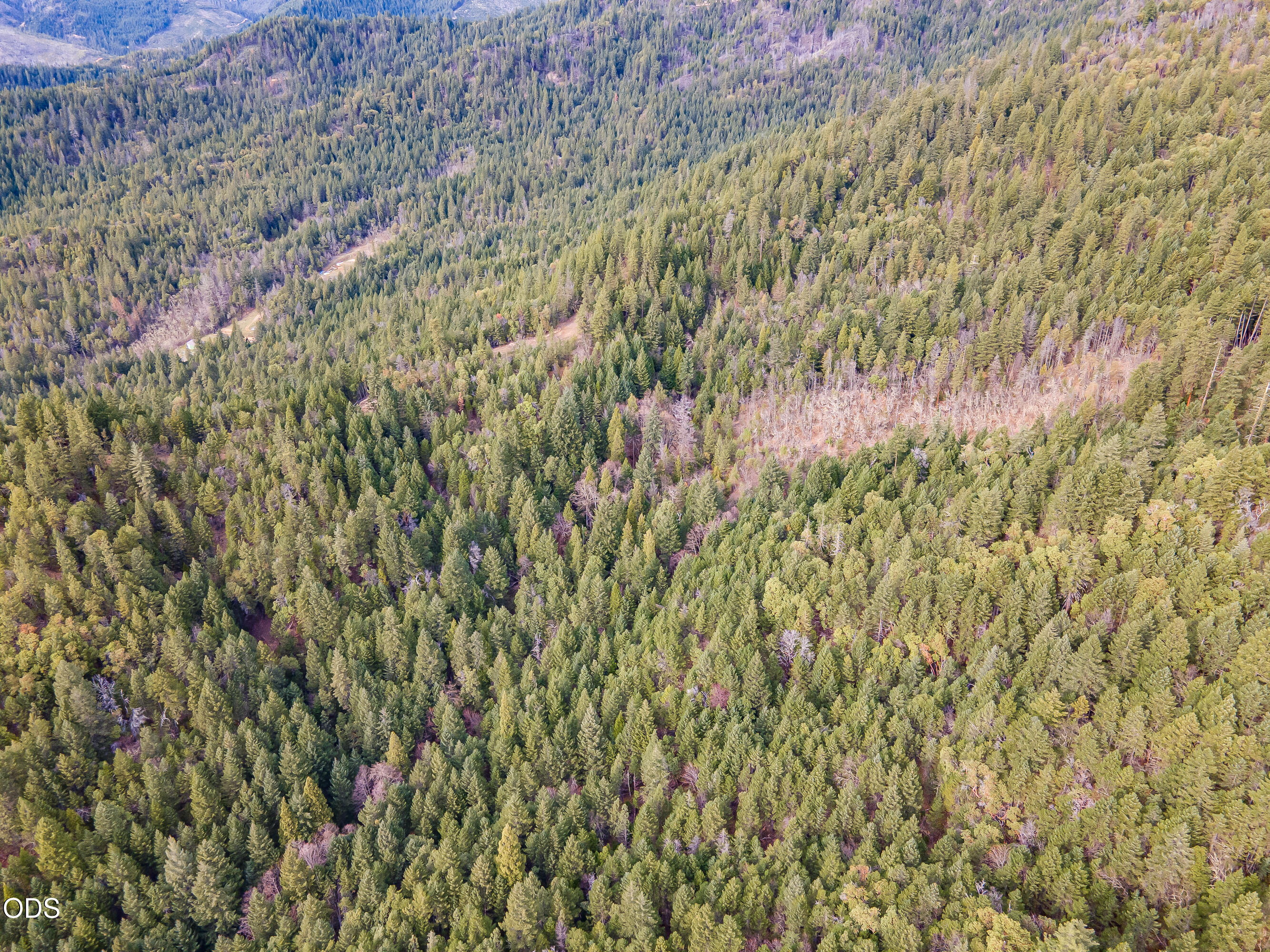 Pleasant Cr Road Rogue River, OR 97537 - Photo 7 of 42