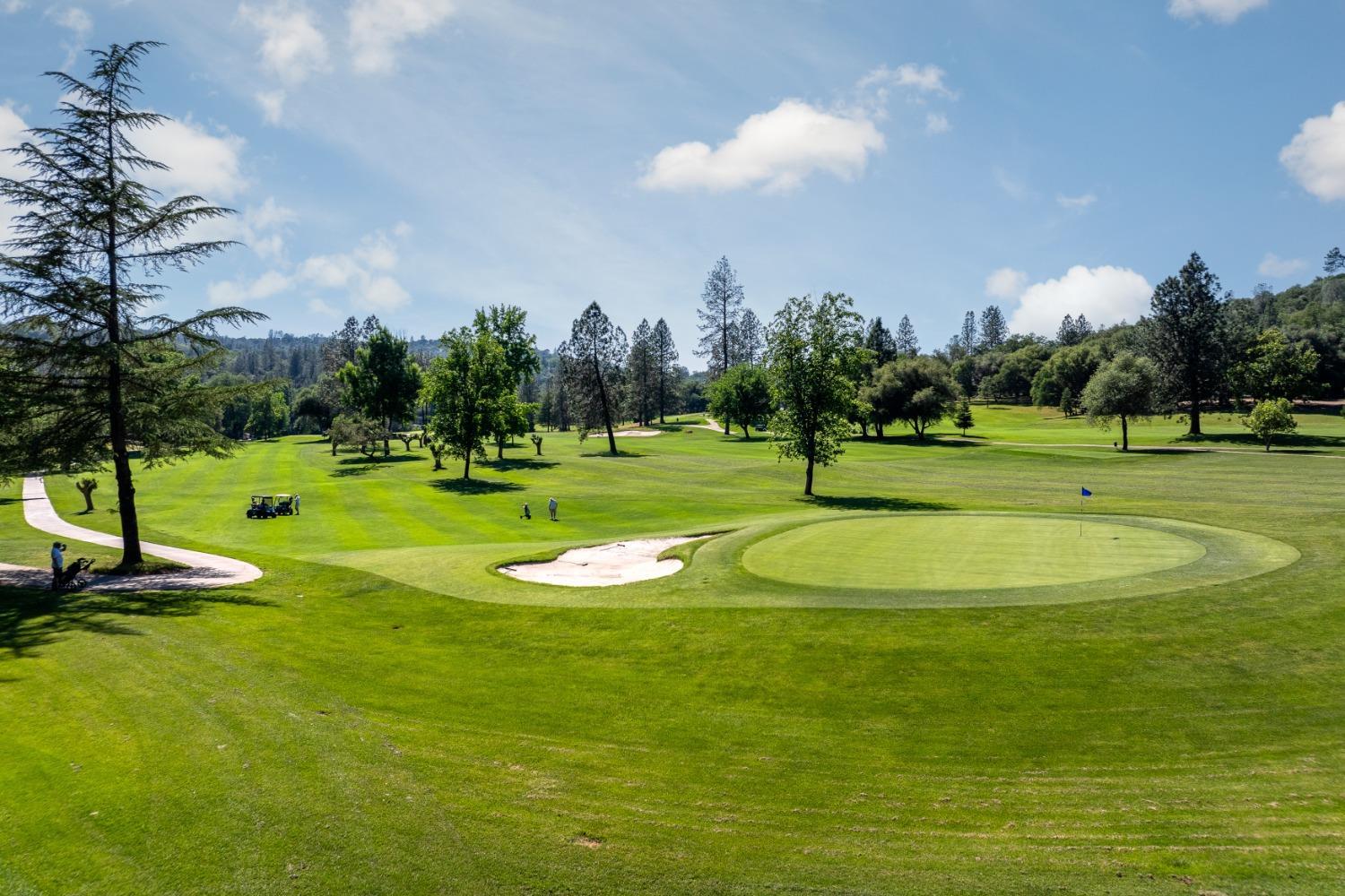 13859 Ginger Loop Penn Valley, CA 95946 - Photo 45 of 50 a view of a basketball court