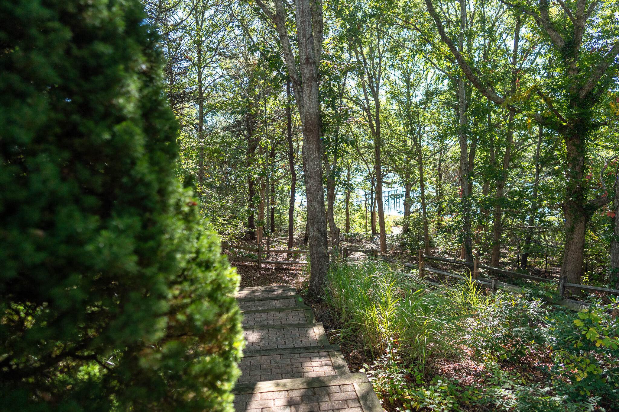 20 Kittiwake Lane Eastham, MA 02642 - Photo 44 of 61 pathway to dock