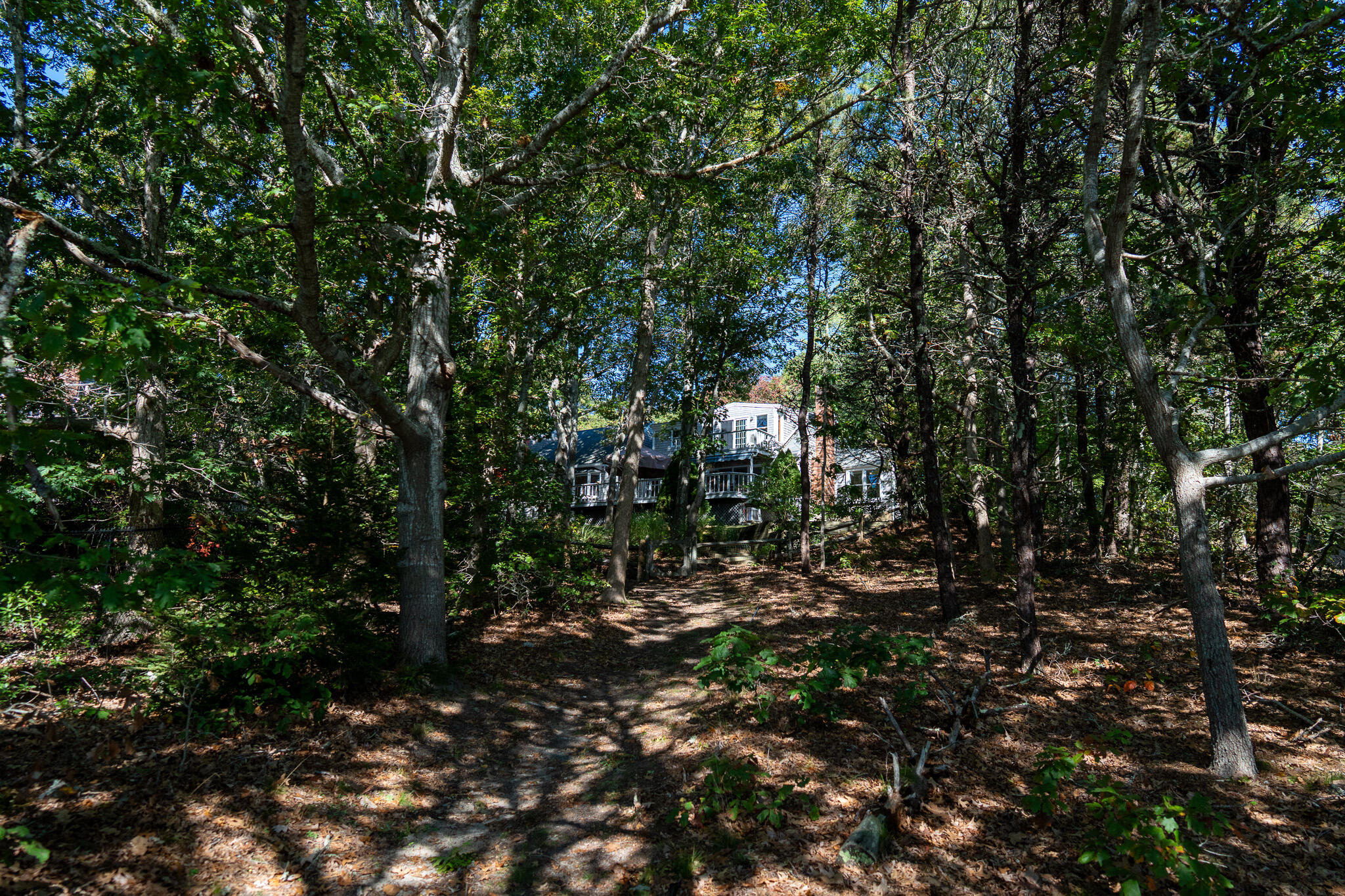 20 Kittiwake Lane Eastham, MA 02642 - Photo 50 of 61 house from cove