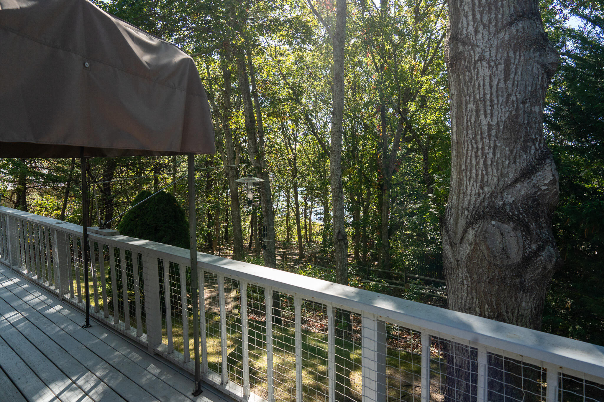 20 Kittiwake Lane Eastham, MA 02642 - Photo 54 of 61 DSC09482