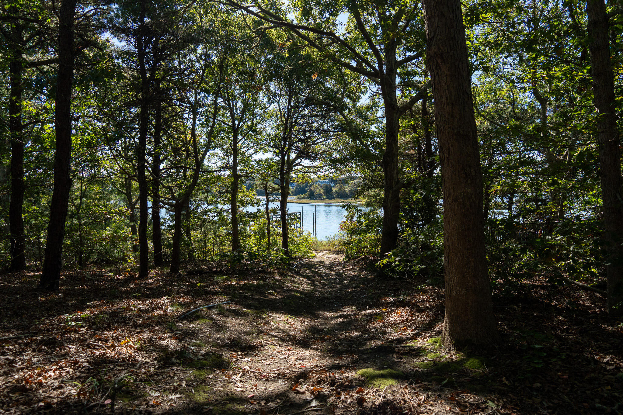 20 Kittiwake Lane Eastham, MA 02642 - Photo 59 of 75 a backyard of a house with lots of green space