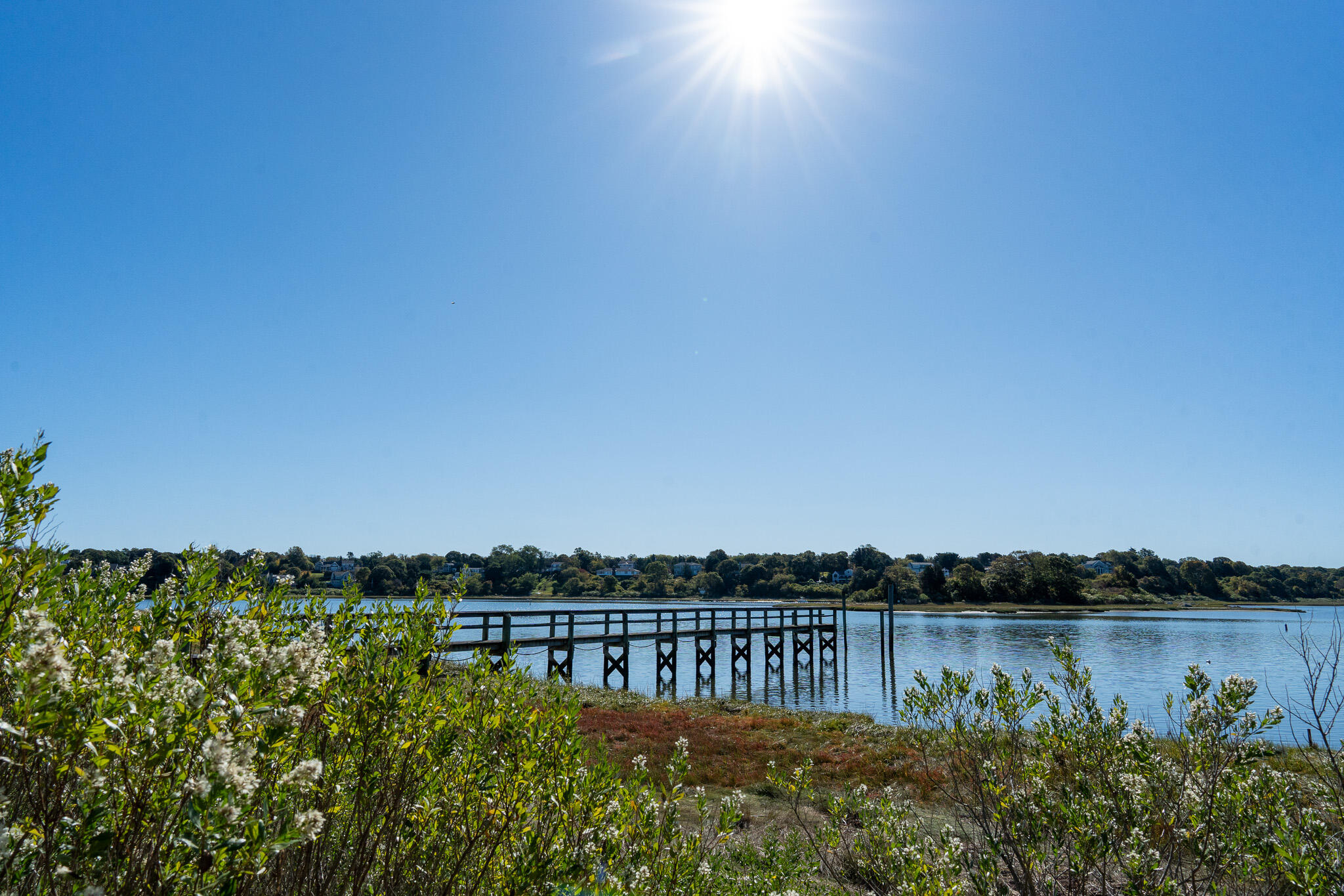 20 Kittiwake Lane Eastham, MA 02642 - Photo 60 of 75 dock from path
