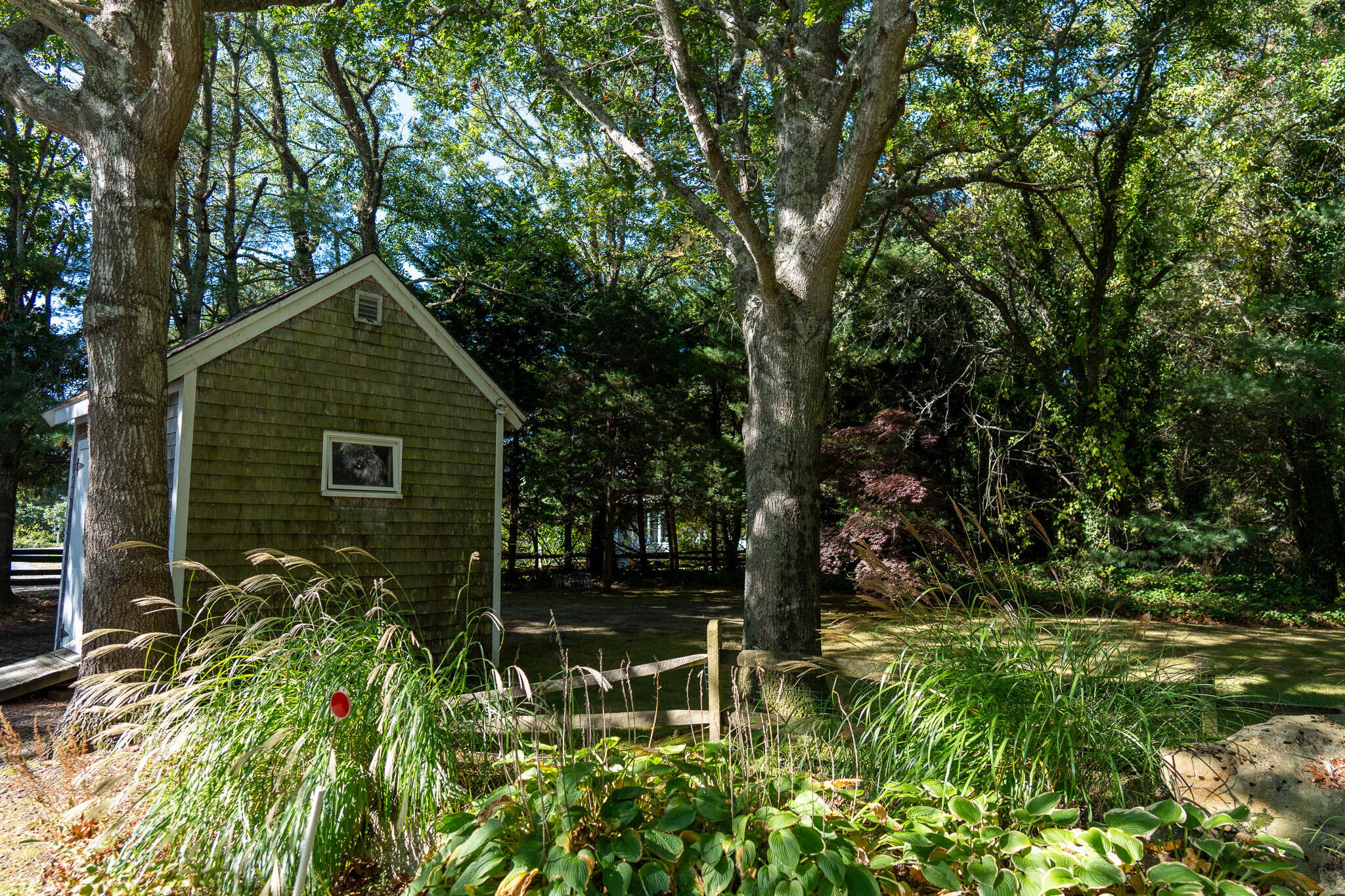 20 Kittiwake Lane Eastham, MA 02642 - Photo 70 of 75 a backyard of a house with lots of green space