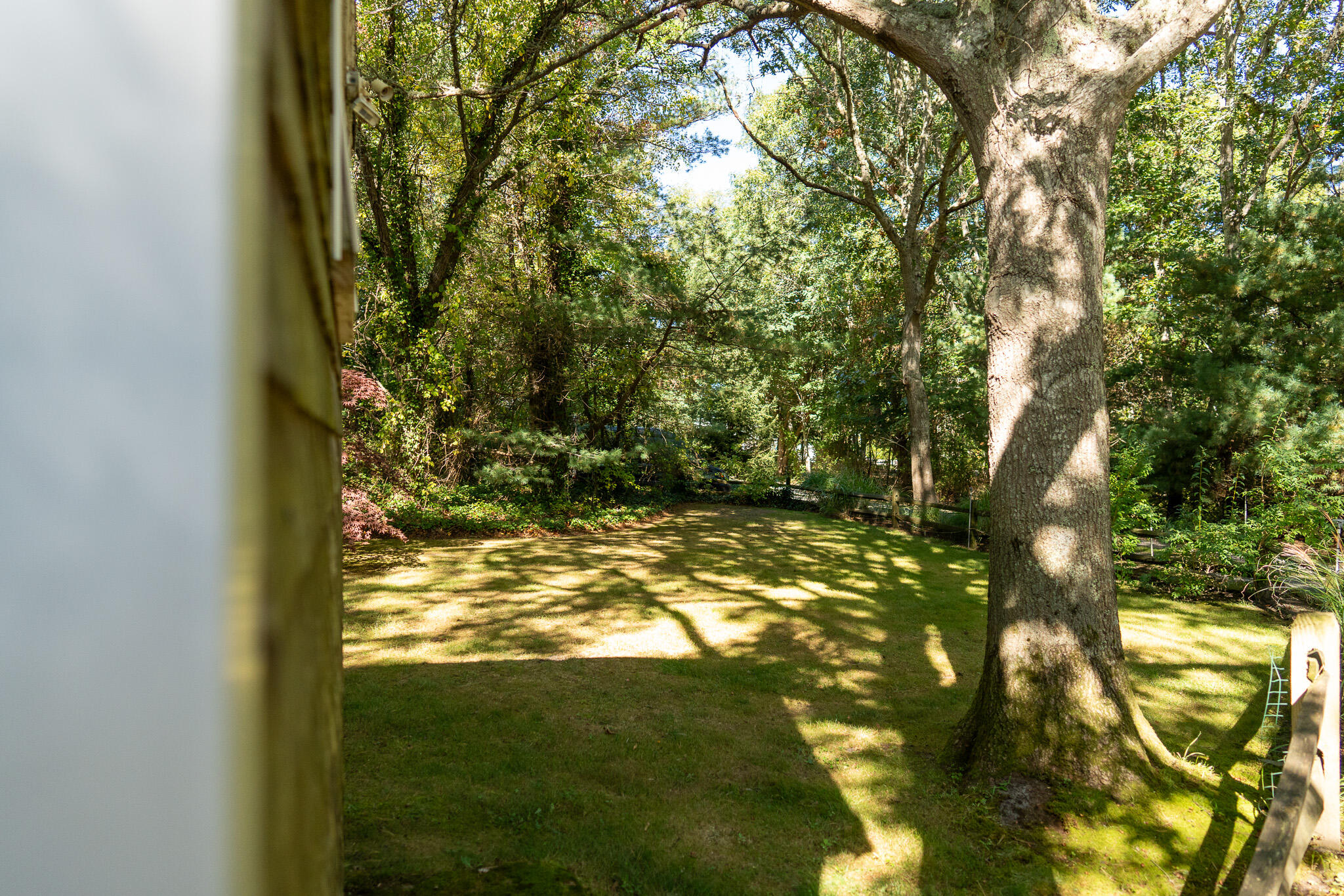 20 Kittiwake Lane Eastham, MA 02642 - Photo 73 of 75 a view of yard from a tree