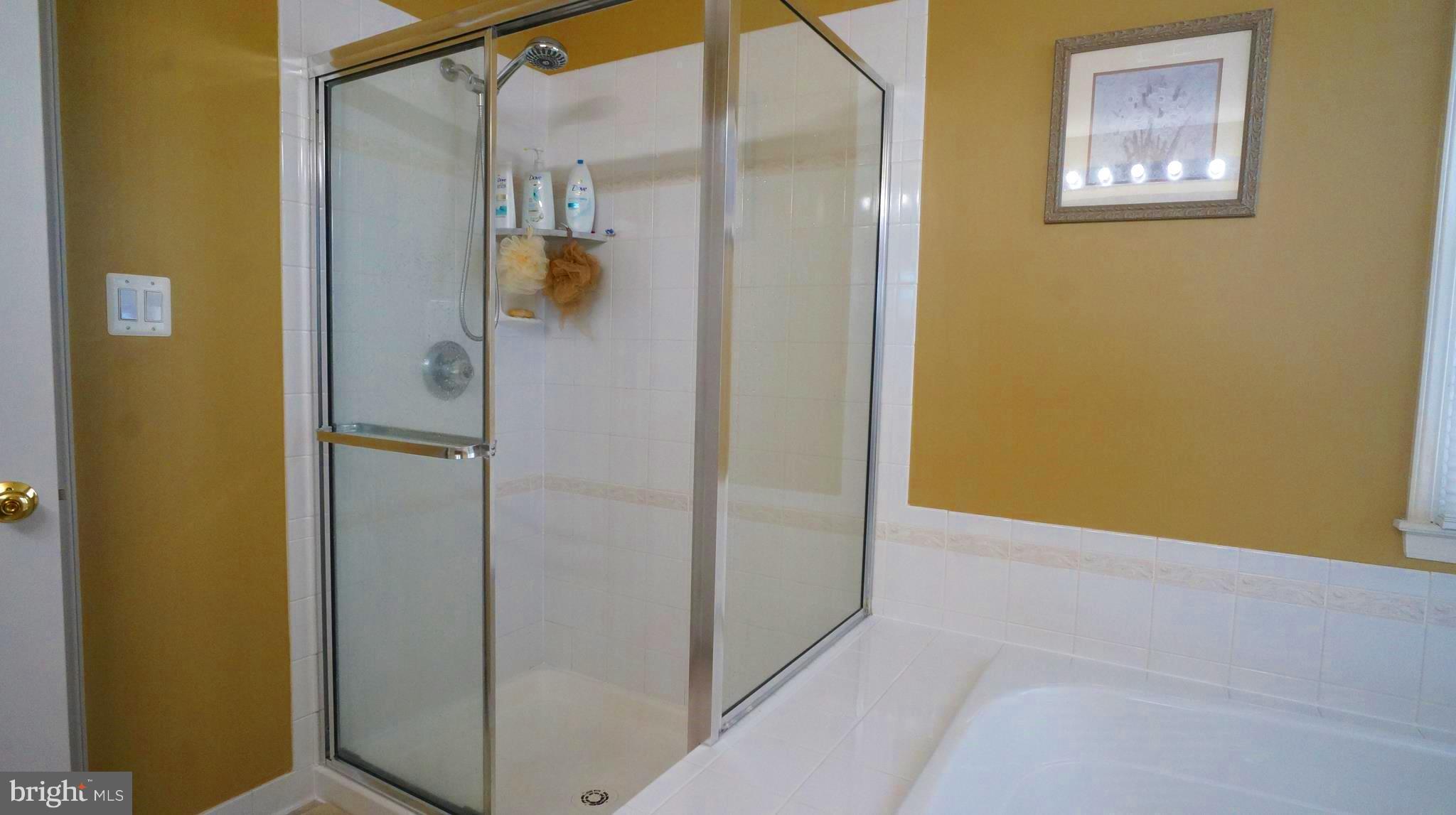 18310 Tapwood Road Boyds, MD 20841 - Photo 17 of 30 Bath (Master)