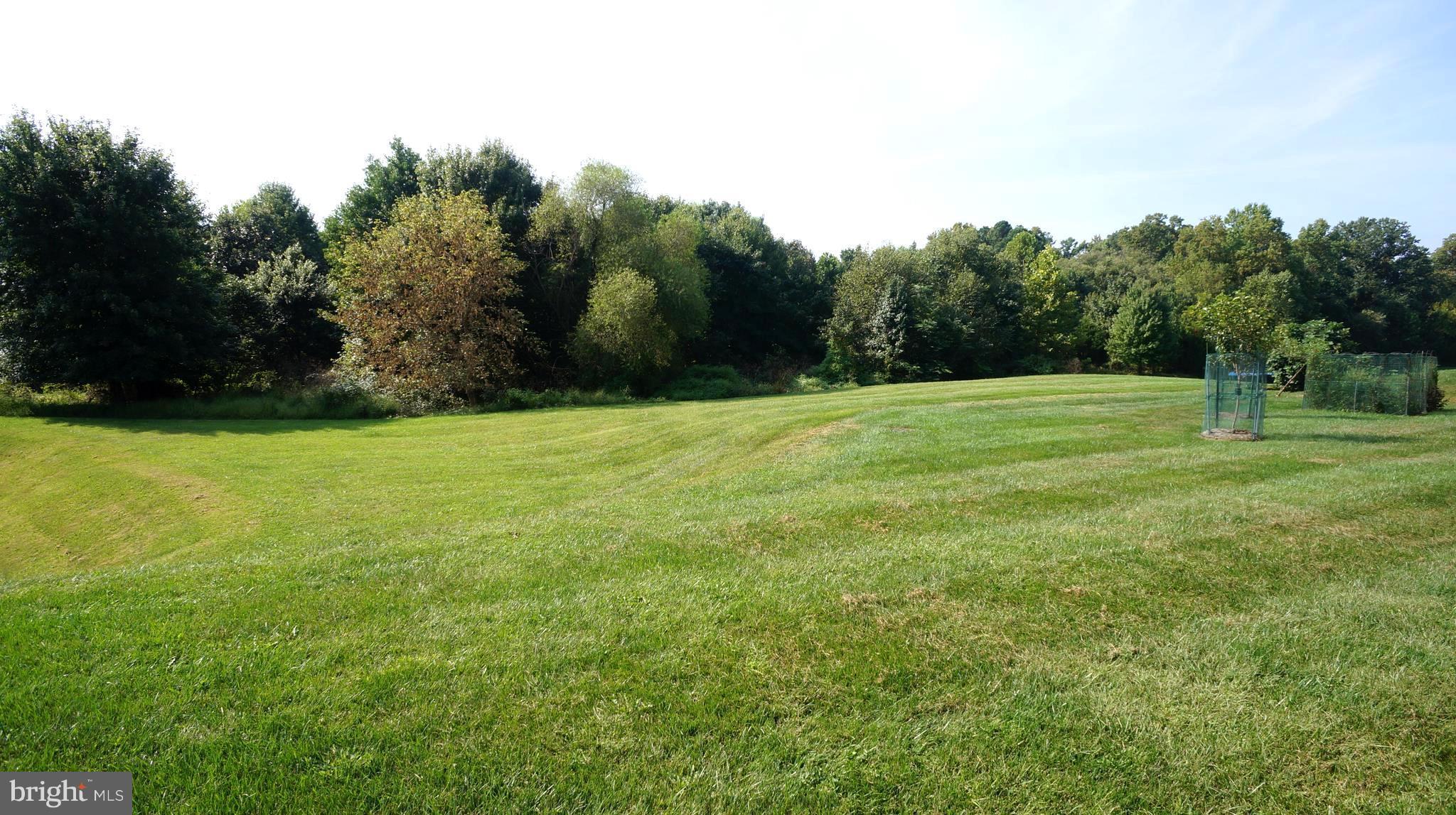 18310 Tapwood Road Boyds, MD 20841 - Photo 30 of 30 VIEW FROM BACK OF THE HOUSE