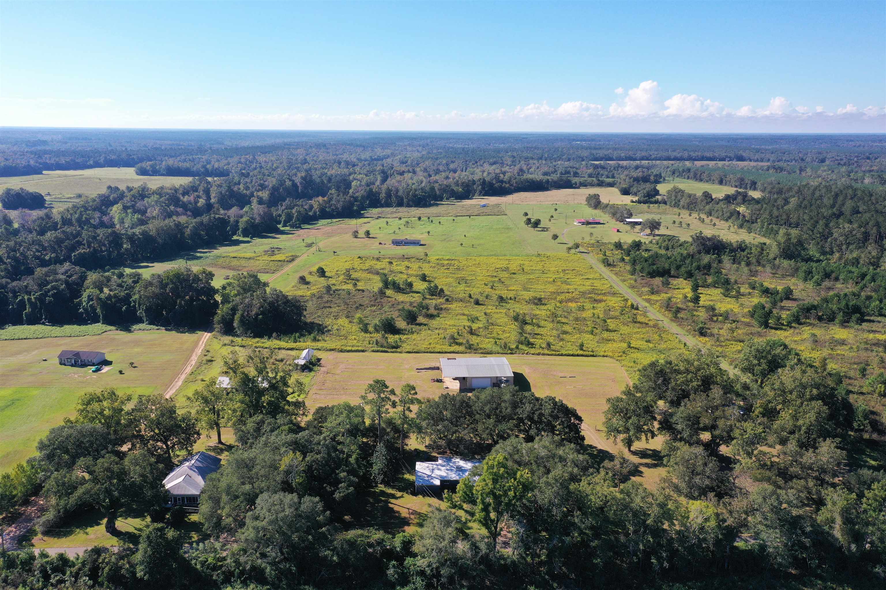 258 Harbin Road Quincy, FL 32351 - Photo 1 of 67 Gallery Image 1