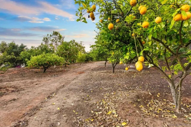 $3,200,000 | 13570 Summit Circle, Poway, CA 92064