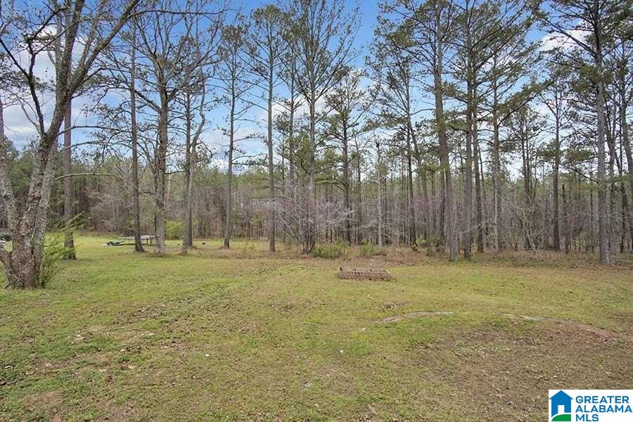 69 Gray Road Springville, AL 35146 - Photo 11 of 12 Gallery Image 11