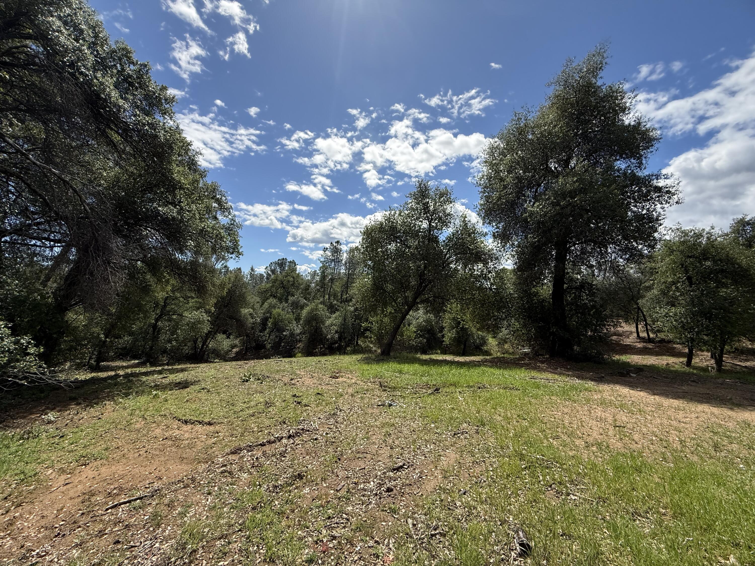 12333 Quartz Hill Road Redding, CA 96003 - Photo 16 of 21 a view of outdoor space with trees