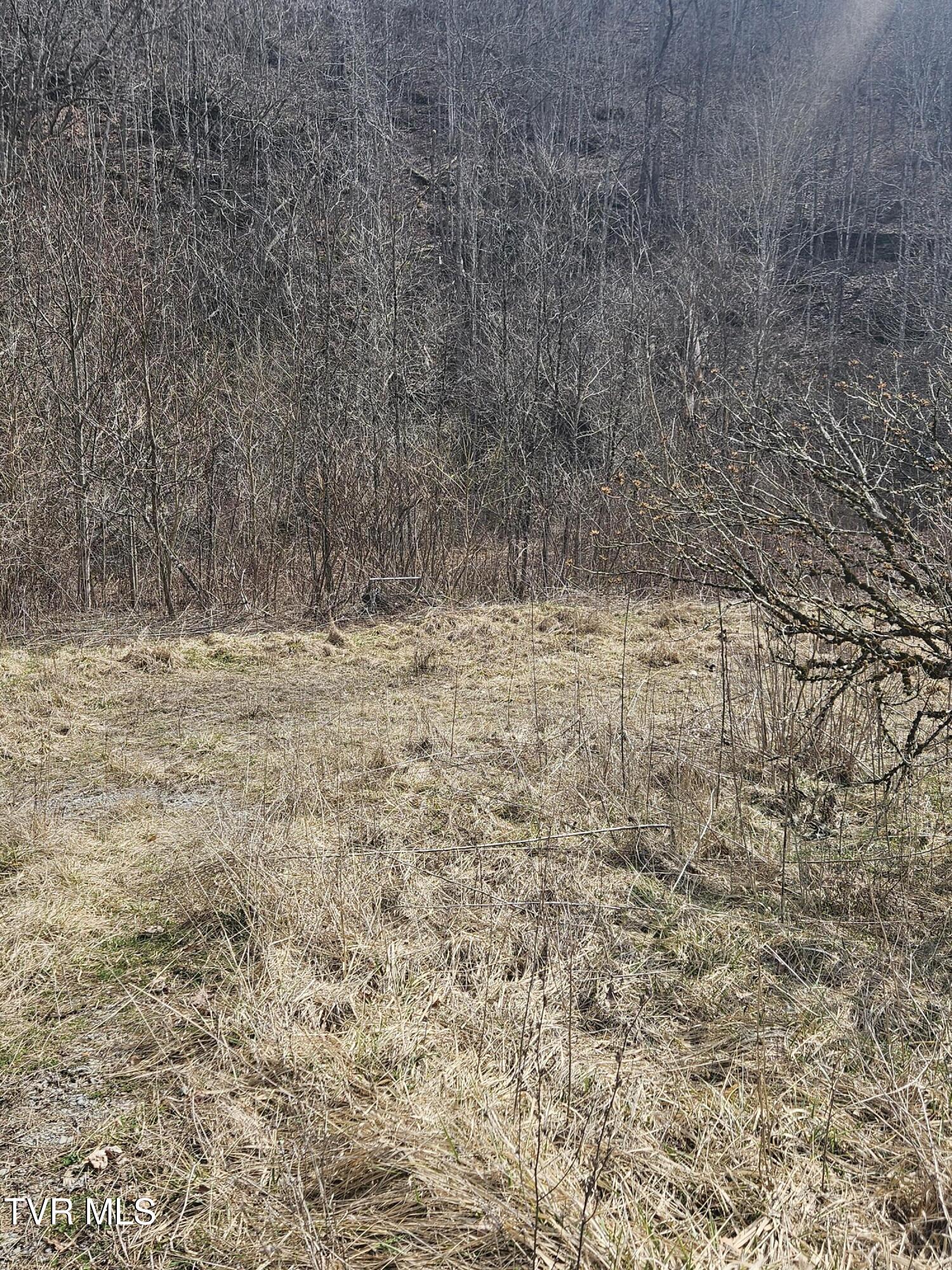 792 Adria Road North Tazewell, VA 24630 - Photo 11 of 14 20260304_130959 (1)