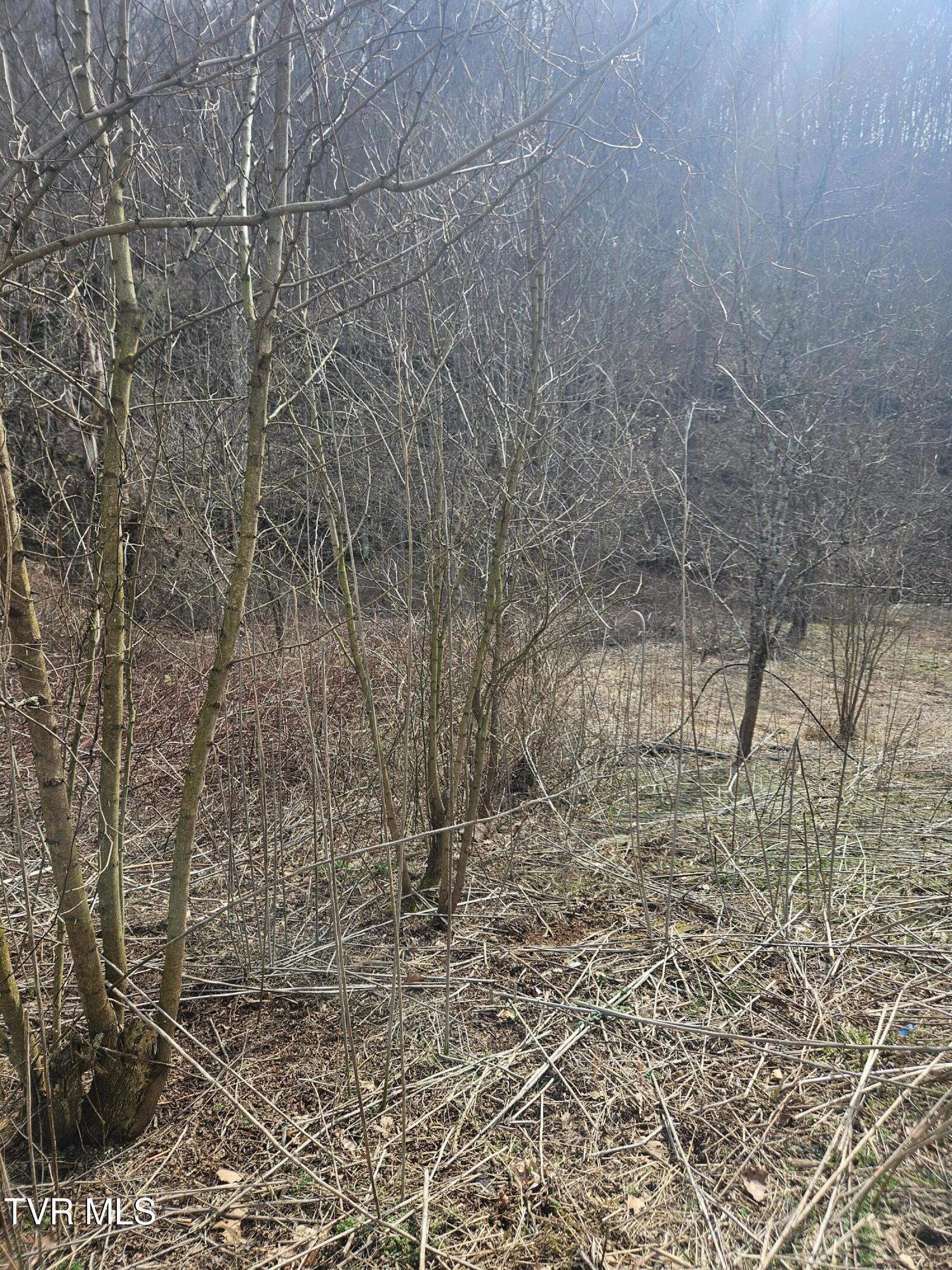 792 Adria Road North Tazewell, VA 24630 - Photo 12 of 14 20260304_131929 (1)