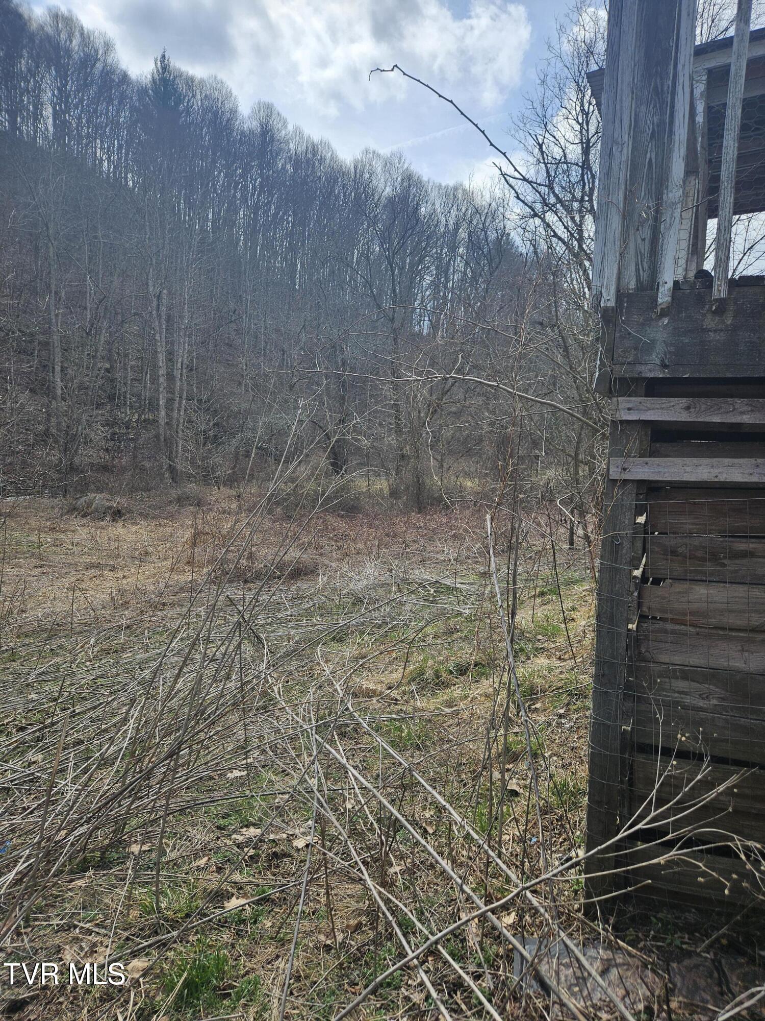 792 Adria Road North Tazewell, VA 24630 - Photo 5 of 14 20260304_131931 (1)