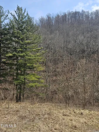 $65,000 | 792 Adria Road, North Tazewell, VA 24630