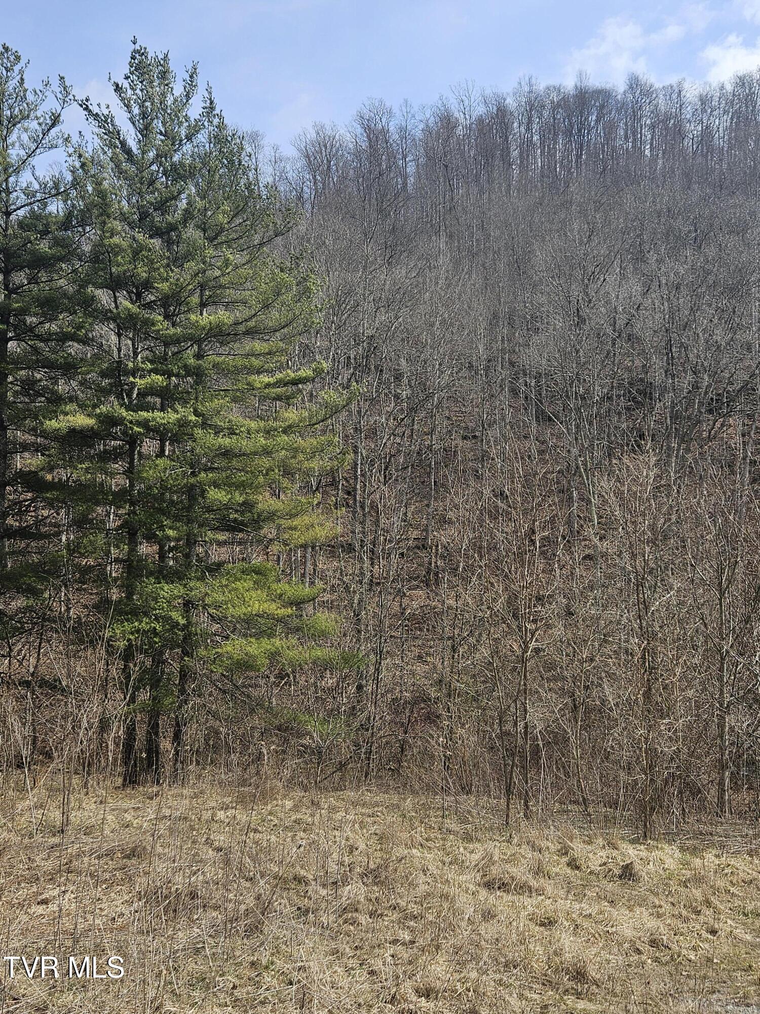 792 Adria Road North Tazewell, VA 24630 - Photo 6 of 14 20260304_131006 (1)