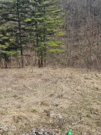 $65,000 | 792 Adria Road, North Tazewell, VA 24630