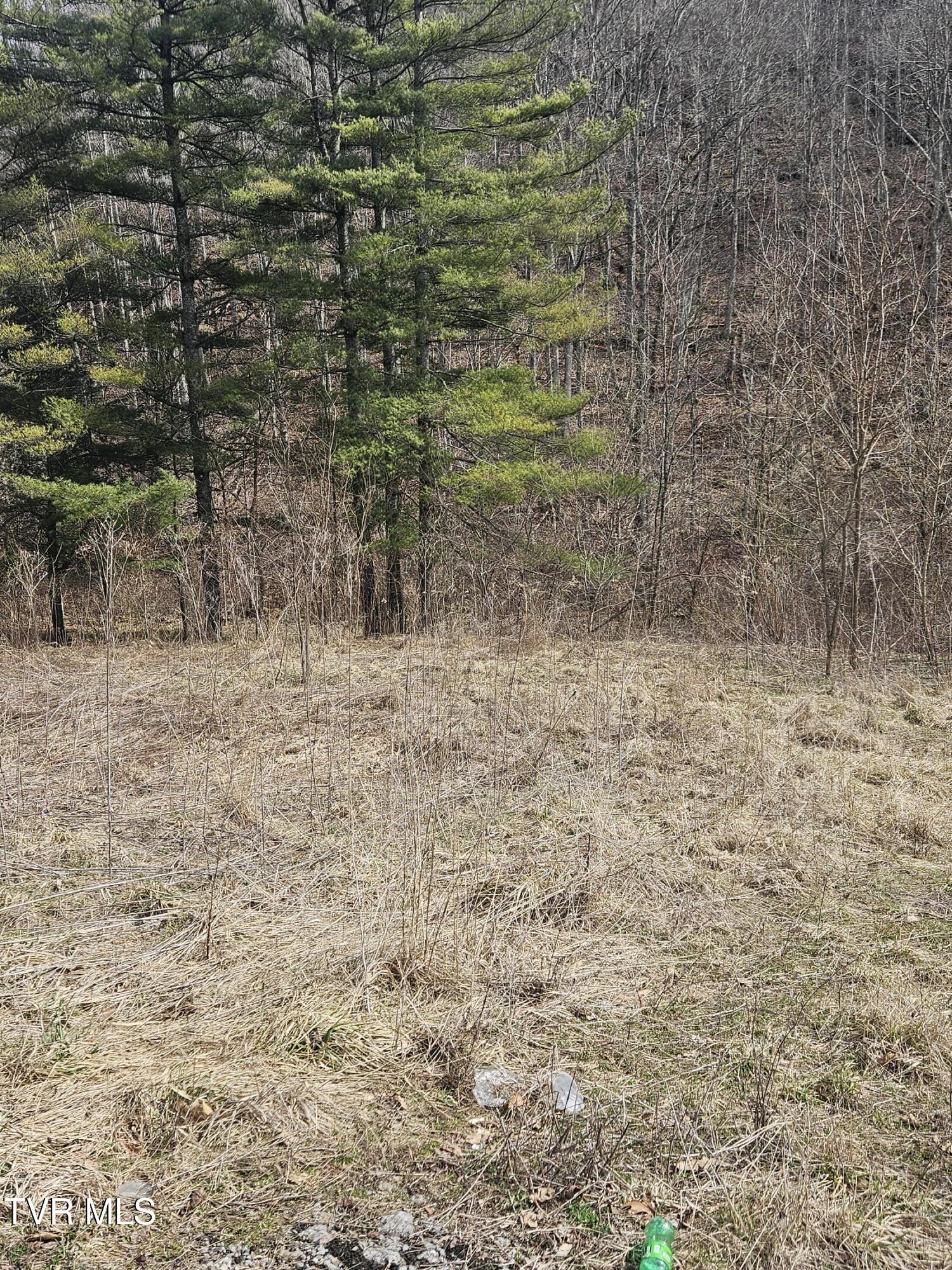 792 Adria Road North Tazewell, VA 24630 - Photo 7 of 14 20260304_131001