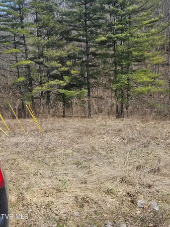 $65,000 | 792 Adria Road, North Tazewell, VA 24630