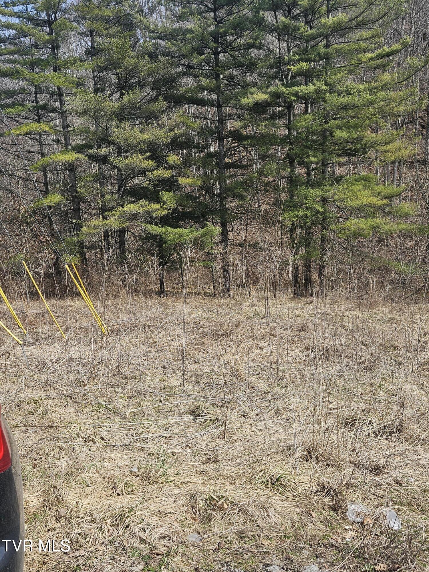 792 Adria Road North Tazewell, VA 24630 - Photo 8 of 14 20260304_131004