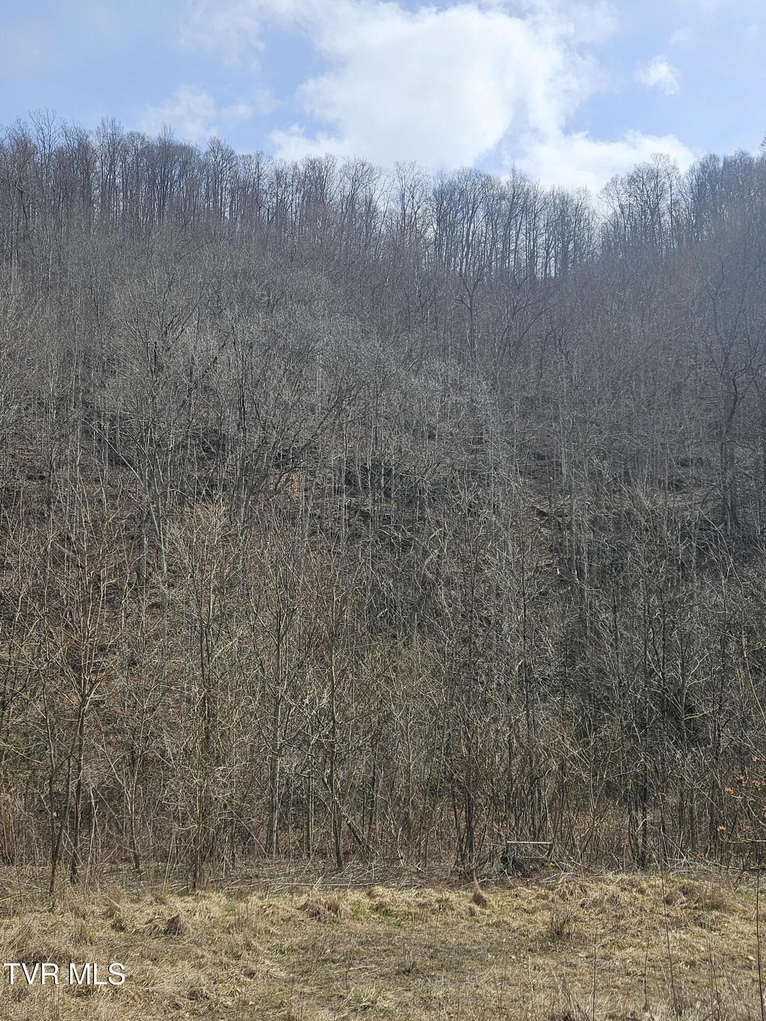 792 Adria Road North Tazewell, VA 24630 - Photo 9 of 14 20260304_131008 (1)