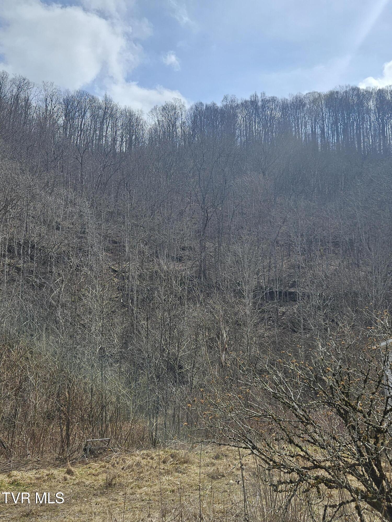 792 Adria Road North Tazewell, VA 24630 - Photo 10 of 14 20260304_131009