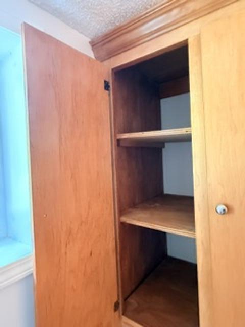 4741 Narrow Paved Road Lynchburg, SC 29080 - Photo 6 of 15 Built in Wardrobe in bathroom.