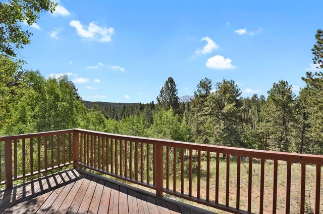 286 Ridge Road Divide, CO 80814 - Photo 18 of 42