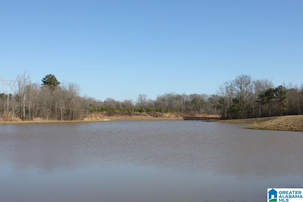 4527 Brookshire Loop McCalla, AL 35022 - Photo 7 of 7