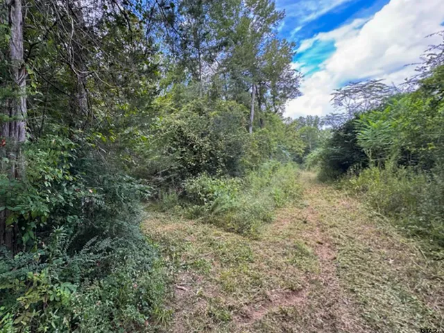 $189,000 | 968 St Marshall Tx 75670, Marshall, TX 75670