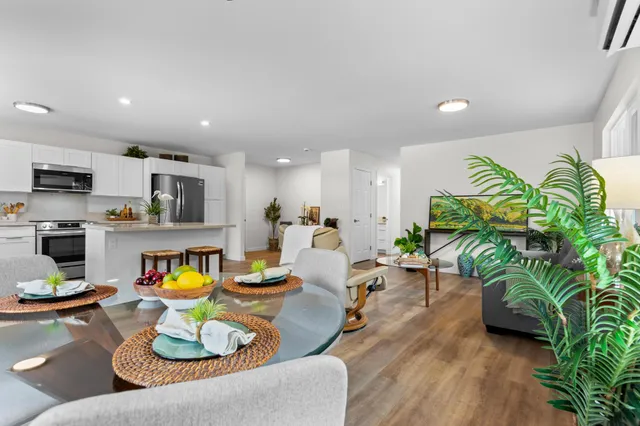 a living room with furniture kitchen and a potted plant
