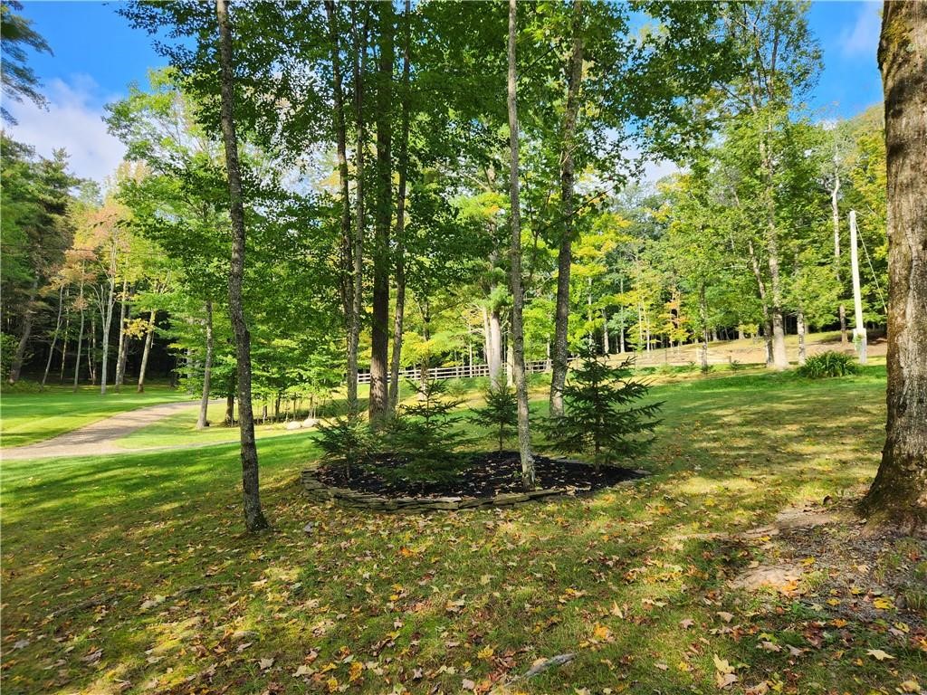 316 Seminary Road Hartwick, NY 13807 - Photo 9 of 23