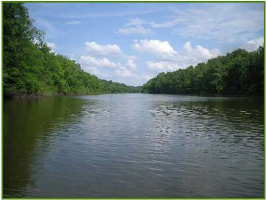 0 Lake George Road Satartia, MS 39162 - Photo 3 of 9 Photo 3