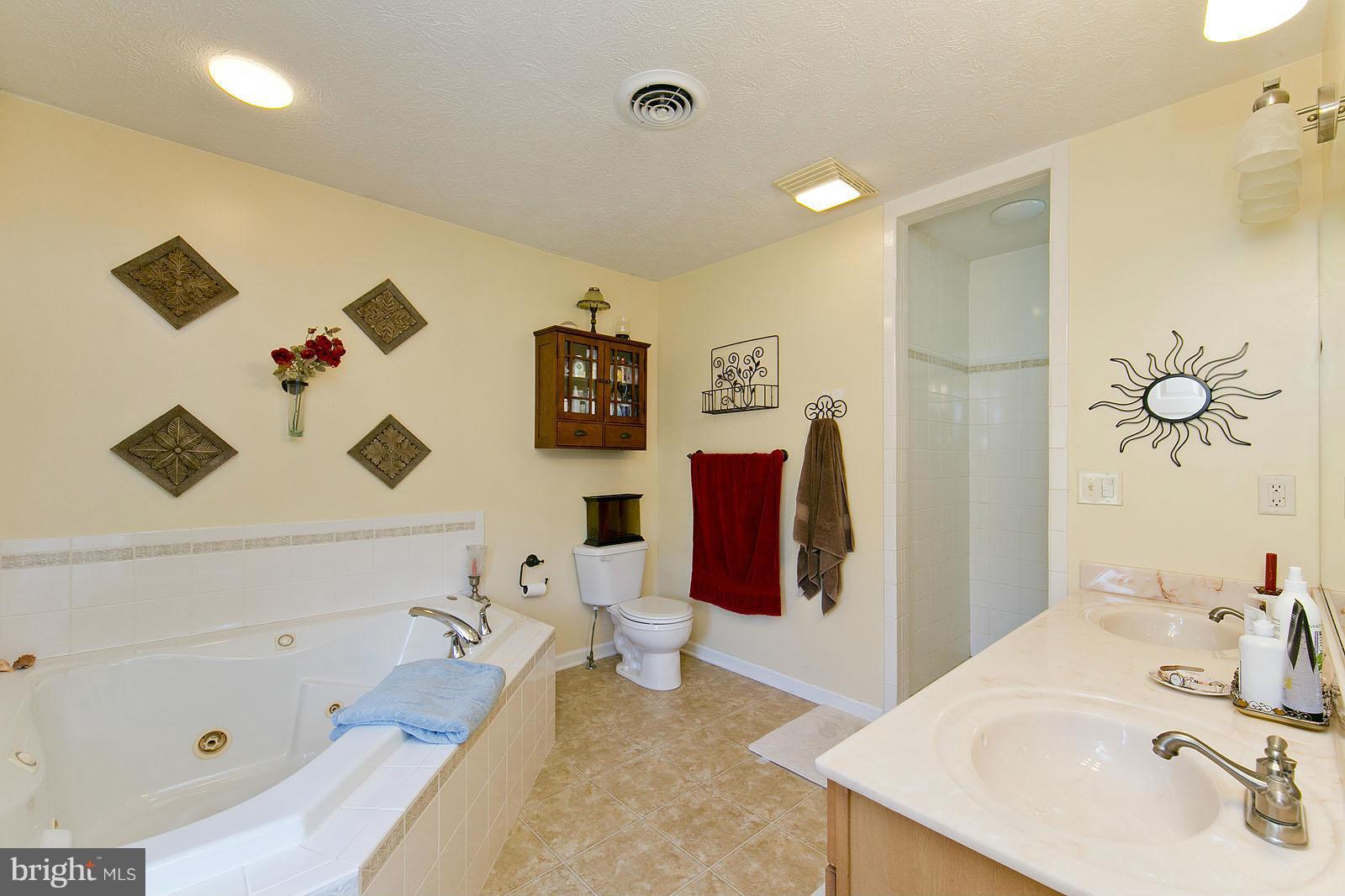 249 Ridgeview Road Gore, VA 22637 - Photo 15 of 30 Bath (Master)