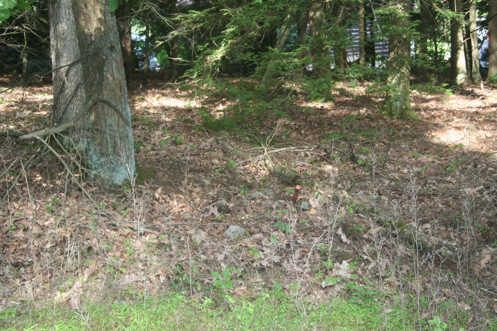 Sones Road Muncy, PA 17756 - Photo 3 of 5