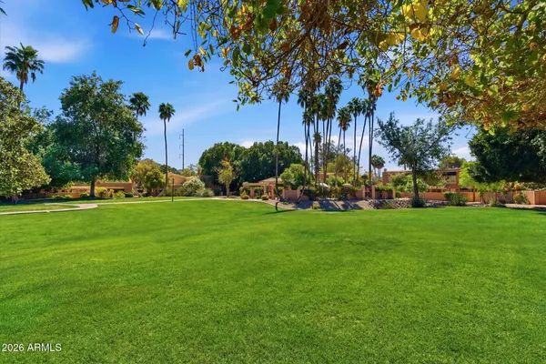 a garden view with fountain