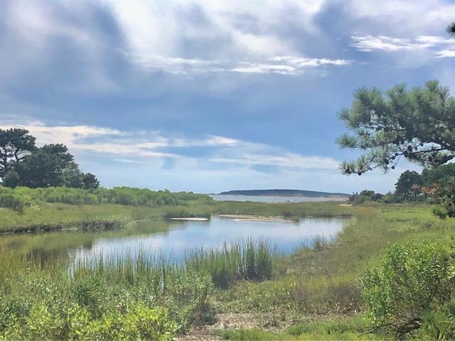 215 Pilgrim Spring Road, Unit 4 Wellfleet, MA 02667 - Photo 23 of 28 a view of lake with green space