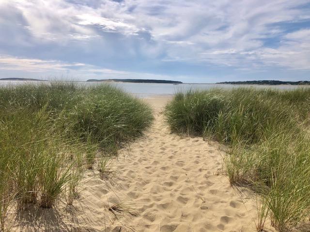 215 Pilgrim Spring Road, Unit 4 Wellfleet, MA 02667 - Photo 27 of 28 a view of an ocean view