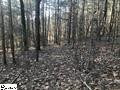 0 Limestone Springs Pickens, SC 29671 - Photo 3 of 16 Gallery Image 3