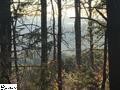 0 Limestone Springs Pickens, SC 29671 - Photo 7 of 16 Gallery Image 7